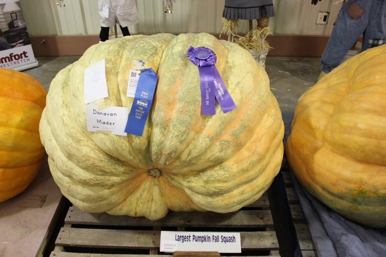 2017 Kansas State Fair (Photo Gallery By Caitlyn Dunn)