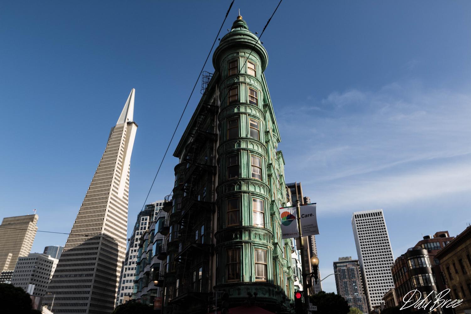New+places%2C+new+adventures+%28San+Francisco+photo+gallery+by+Devon+DuBree%29