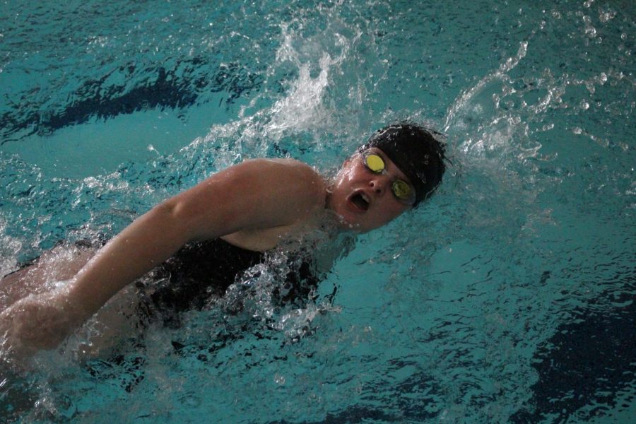 Junior Promise Asher swimming in the 200 yard freestyle.