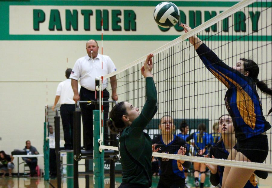 Junior Sydney Nilles jumps up to block a spike. 
