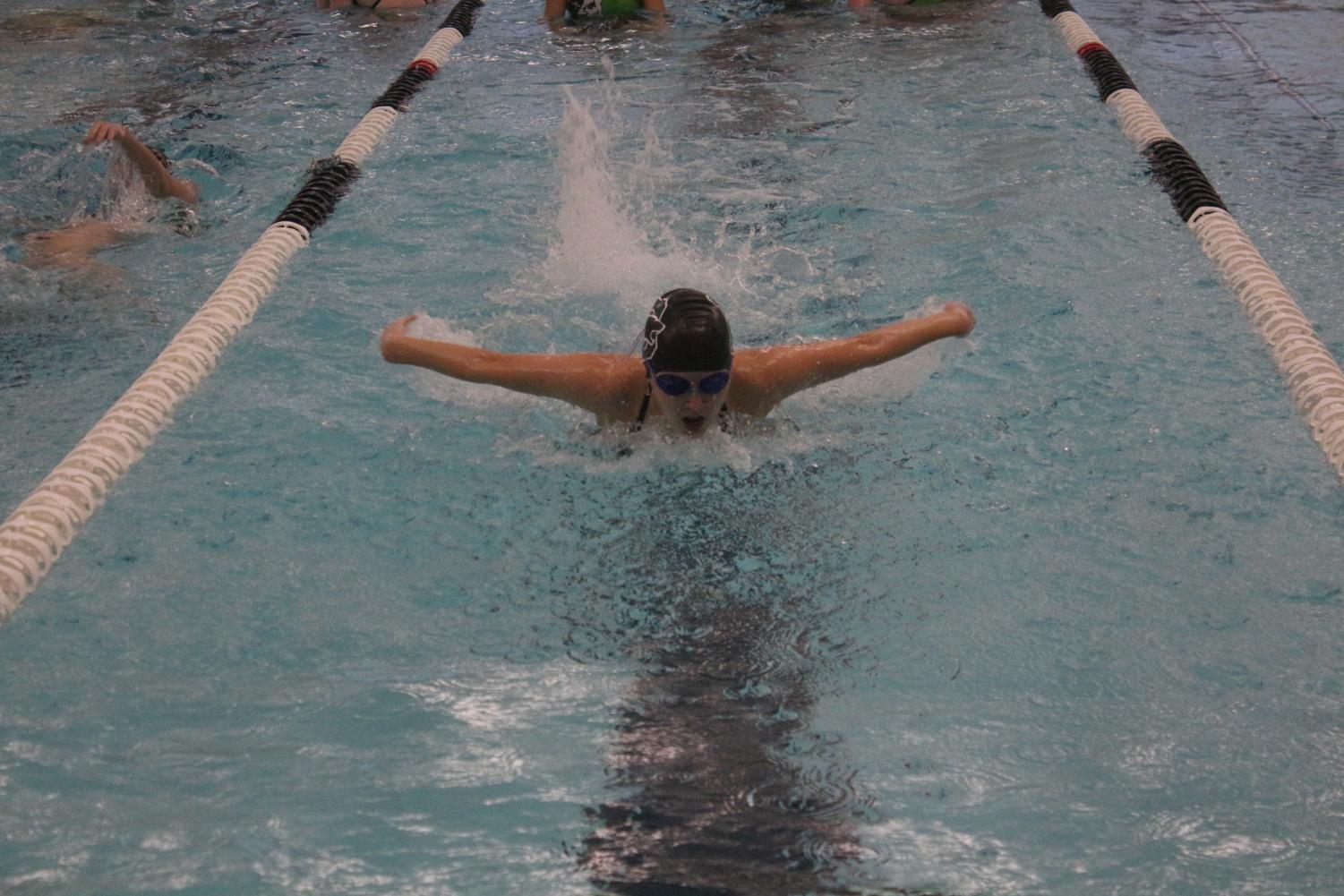 Girls Swim Senior Night 4/31 (Photos by Kiley Hale)