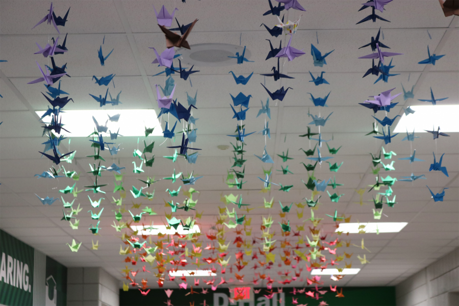 Rainbow Cranes in D-Hall (Photos by Zara Thomas)