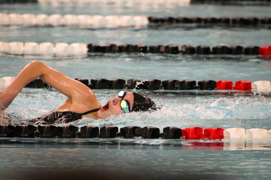 Girls Swim and Dive Meet (Photos by Reese Cowden)