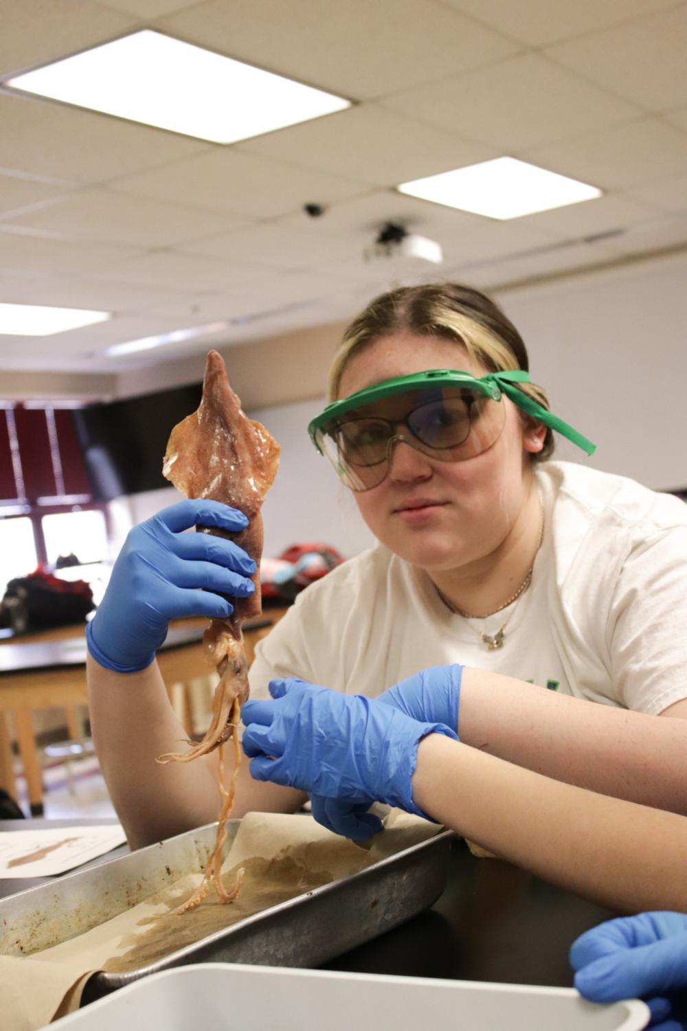 Mrs.+Reeds+Zoology+Class+Dissecting+Squids+%28Photos+by+Reese+Cowden%29