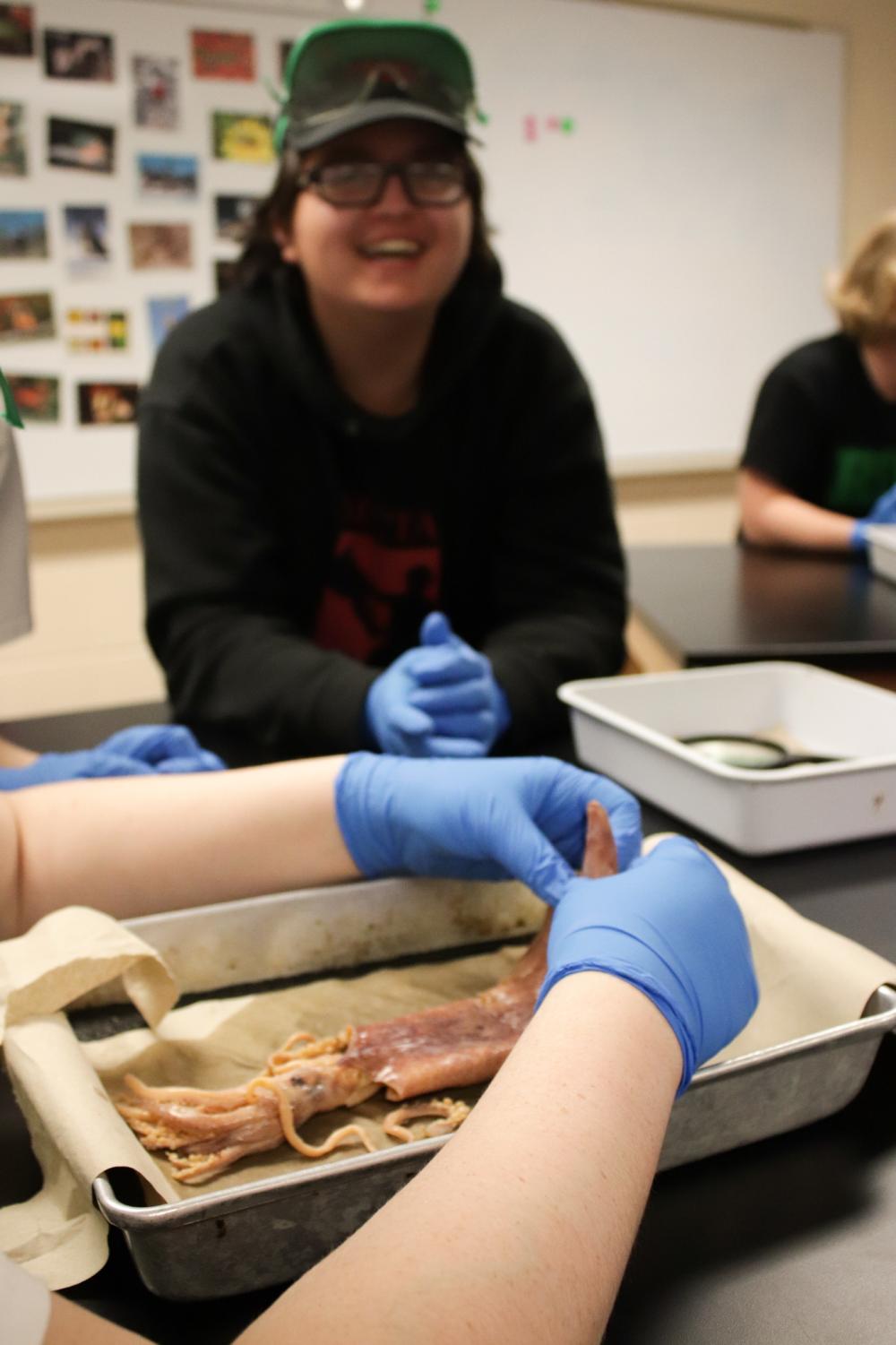 Mrs.+Reeds+Zoology+Class+Dissecting+Squids+%28Photos+by+Reese+Cowden%29