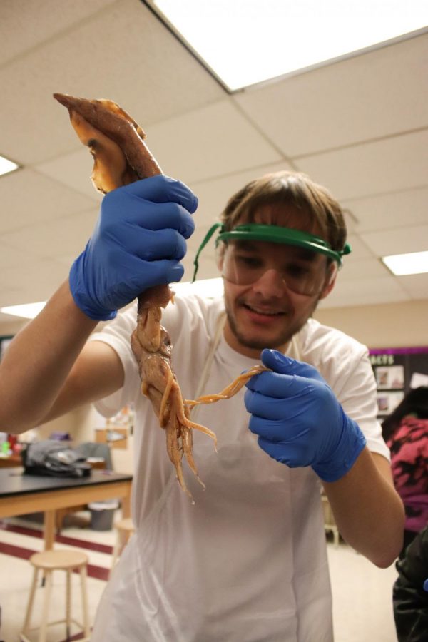Mrs. Reeds Zoology Class Dissecting Squids (Photos by Reese Cowden)