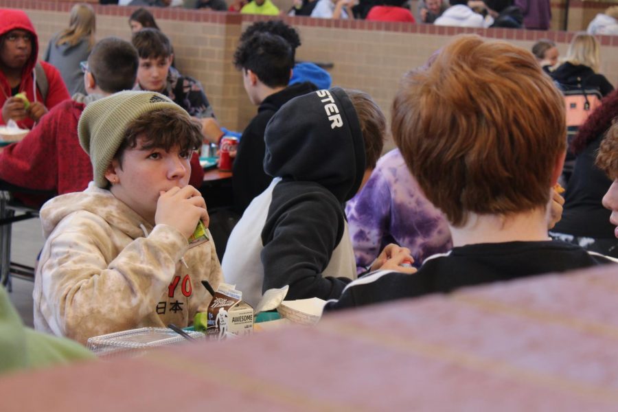 Watching Elf movie at lunch(Photos by Erica Sengthavorn)