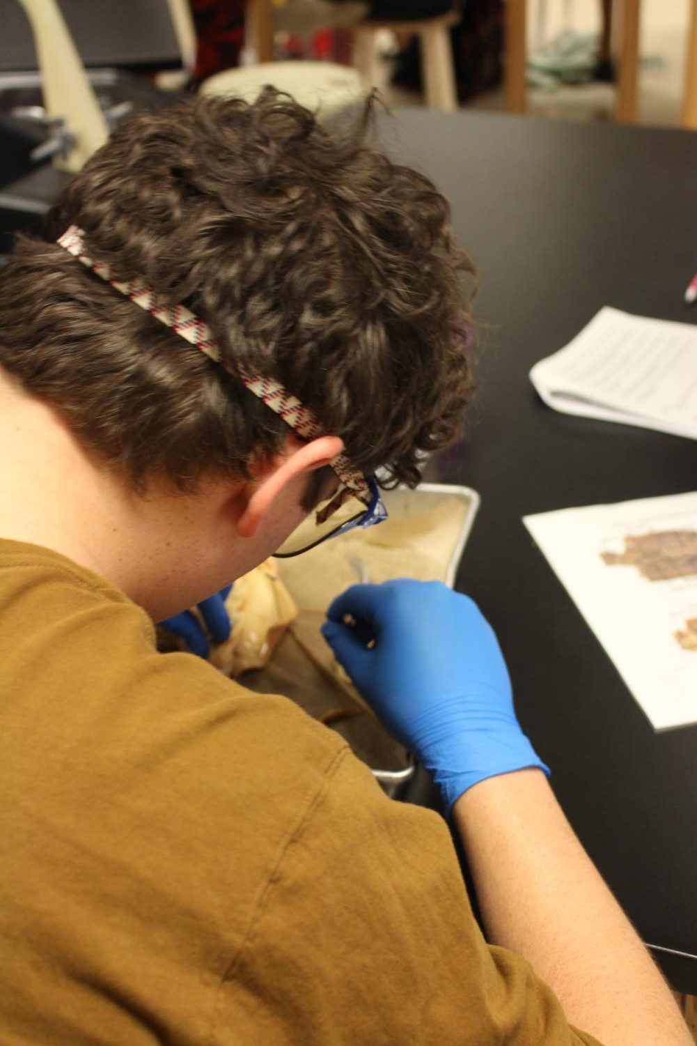 Zoology+dissects+squids+%28Photos+by+Shaye+Comes%29