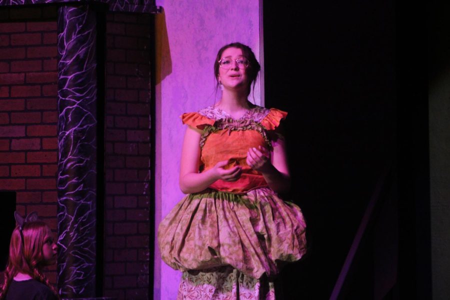 Cinderella Musical 2/12/22 (Photos by Natalie Wilson)
