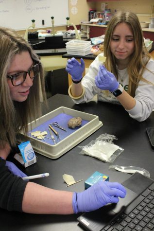 Brain Dissections in Mrs. Browns Class (Photos by Shaye Comes)