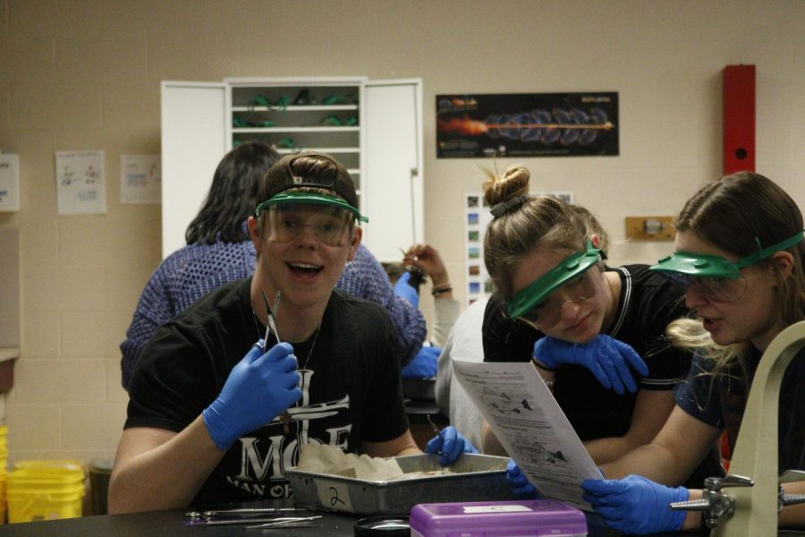 Reeds zoology class dissects fish and sharks (Photos by Anita Phandara)
