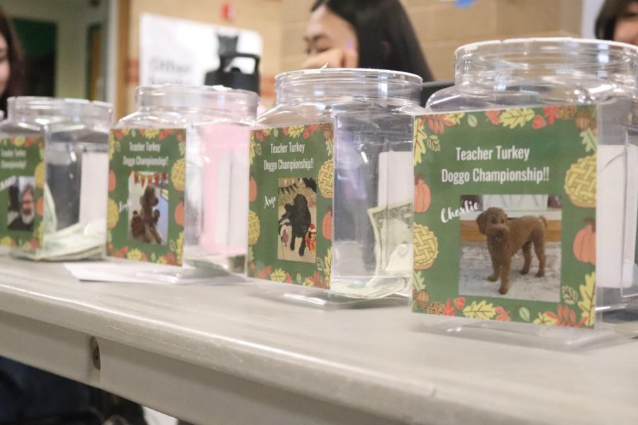 Teacher Turkey competition gathers holiday donations