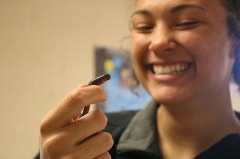 Earthworm lab in Zoology (Photos by Poy Nopphavong)