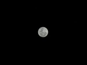 Once in a Blue Moon