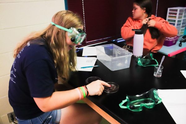 Enzyme lab (Photos by Alexis King)