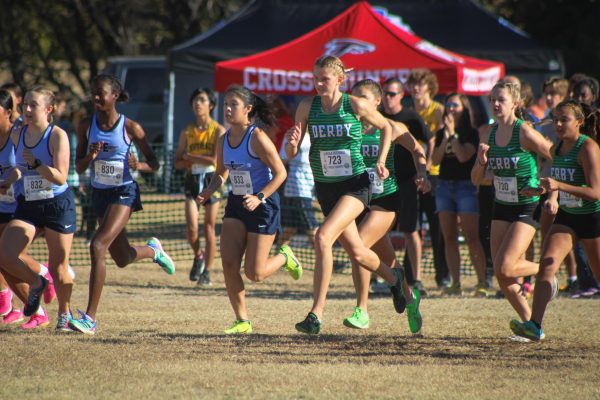 Cross country state qualifiers and regional results