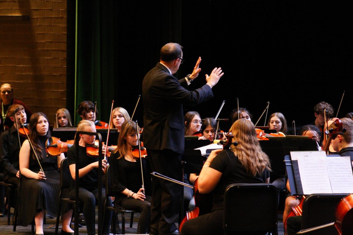 Orchestra concert (photos by Ella davidson)
