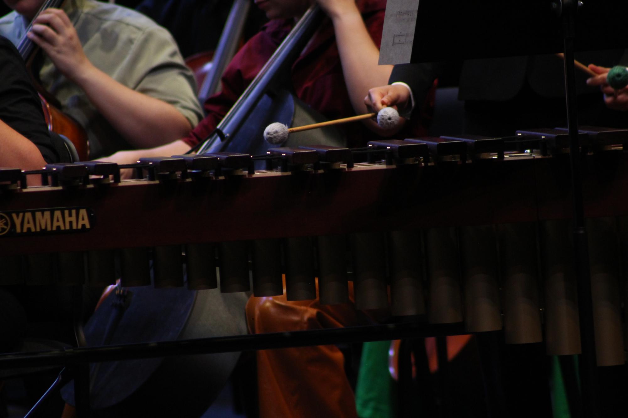 Orchestra concert 5/9 (Photos by Luis Lozano