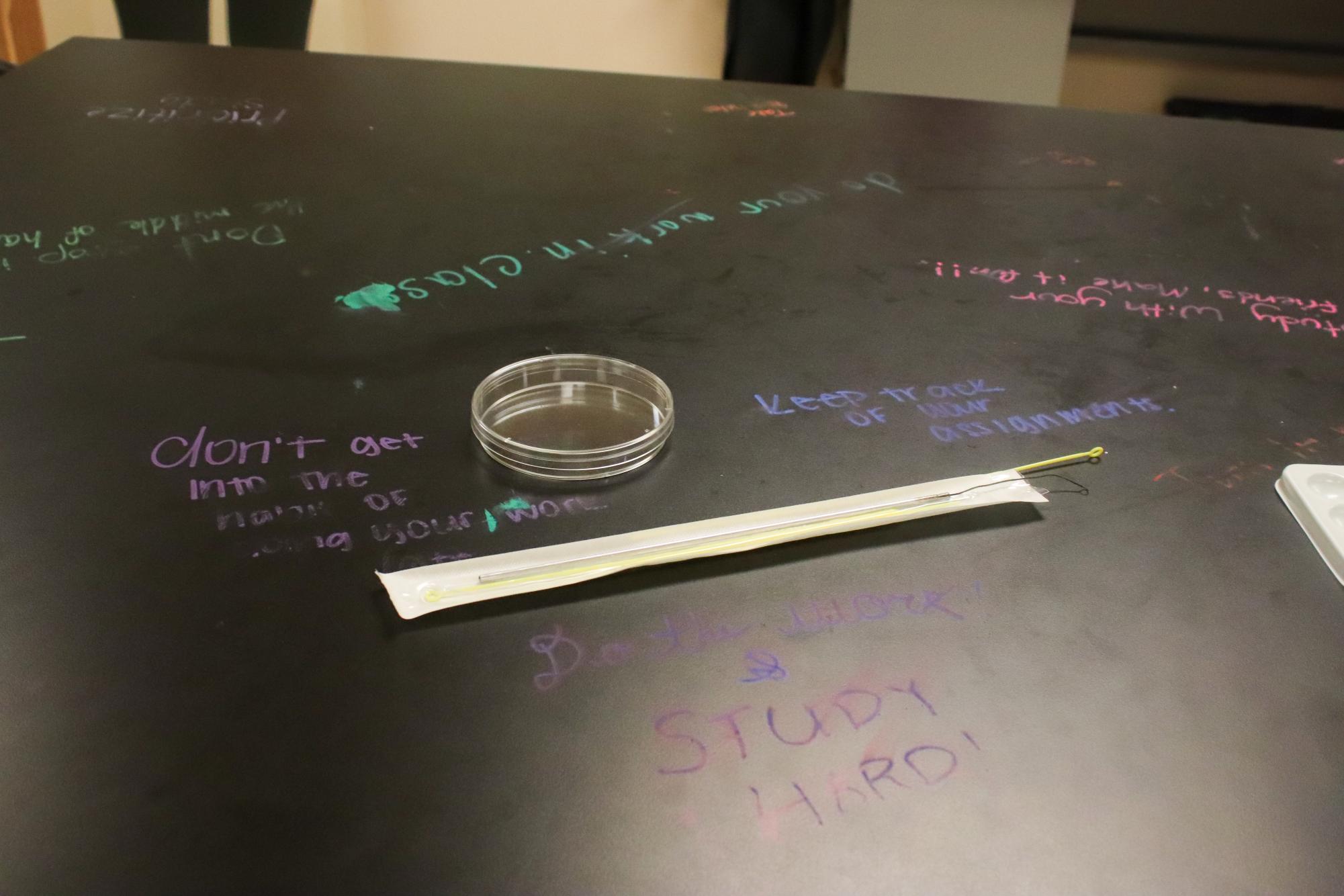 Encouraging notes to future students from Bio-Med students (Photos by Laylah Allen)