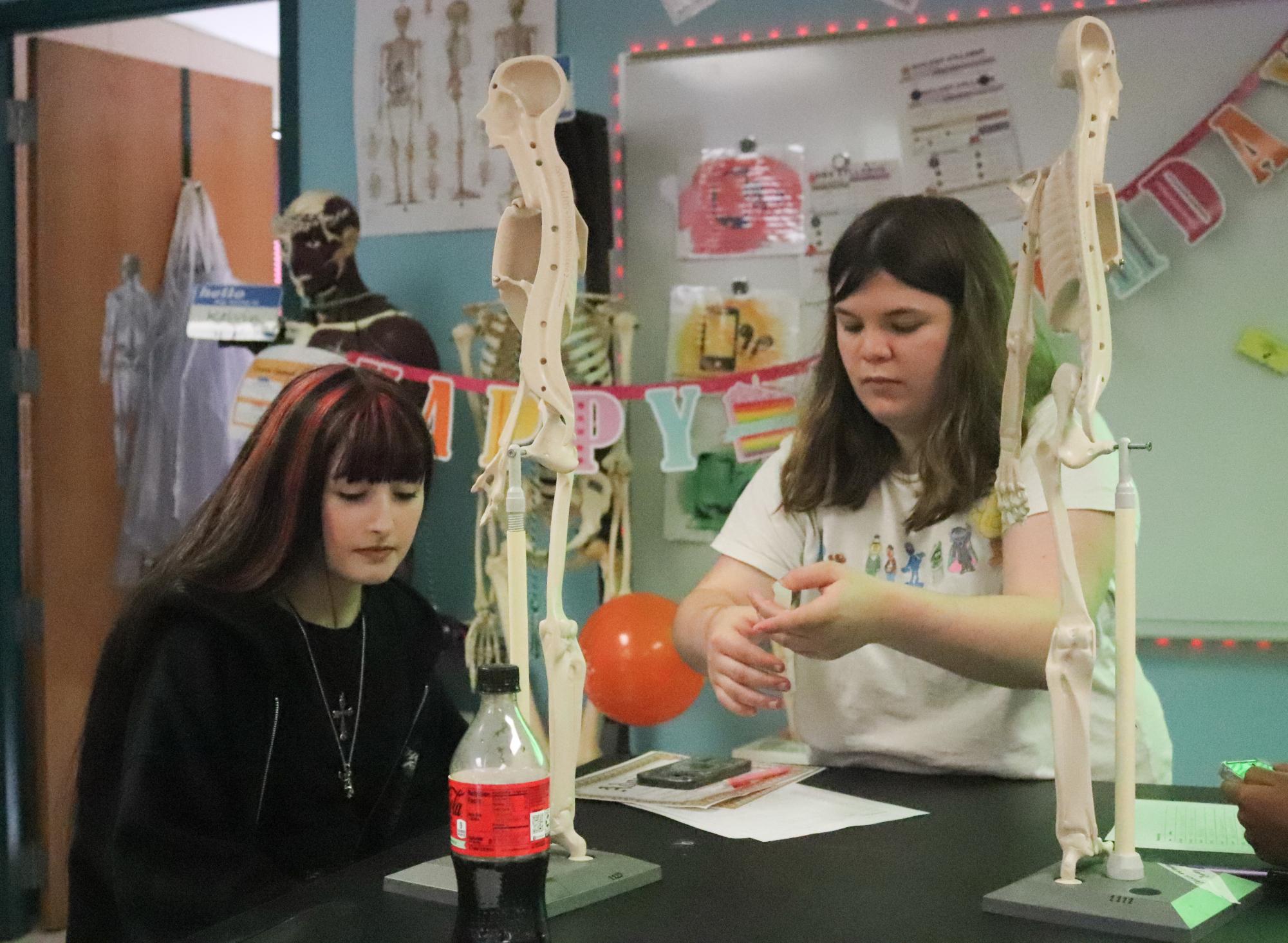 Human body systems mannequin birthday activity (Photos by Natalie Galindo)