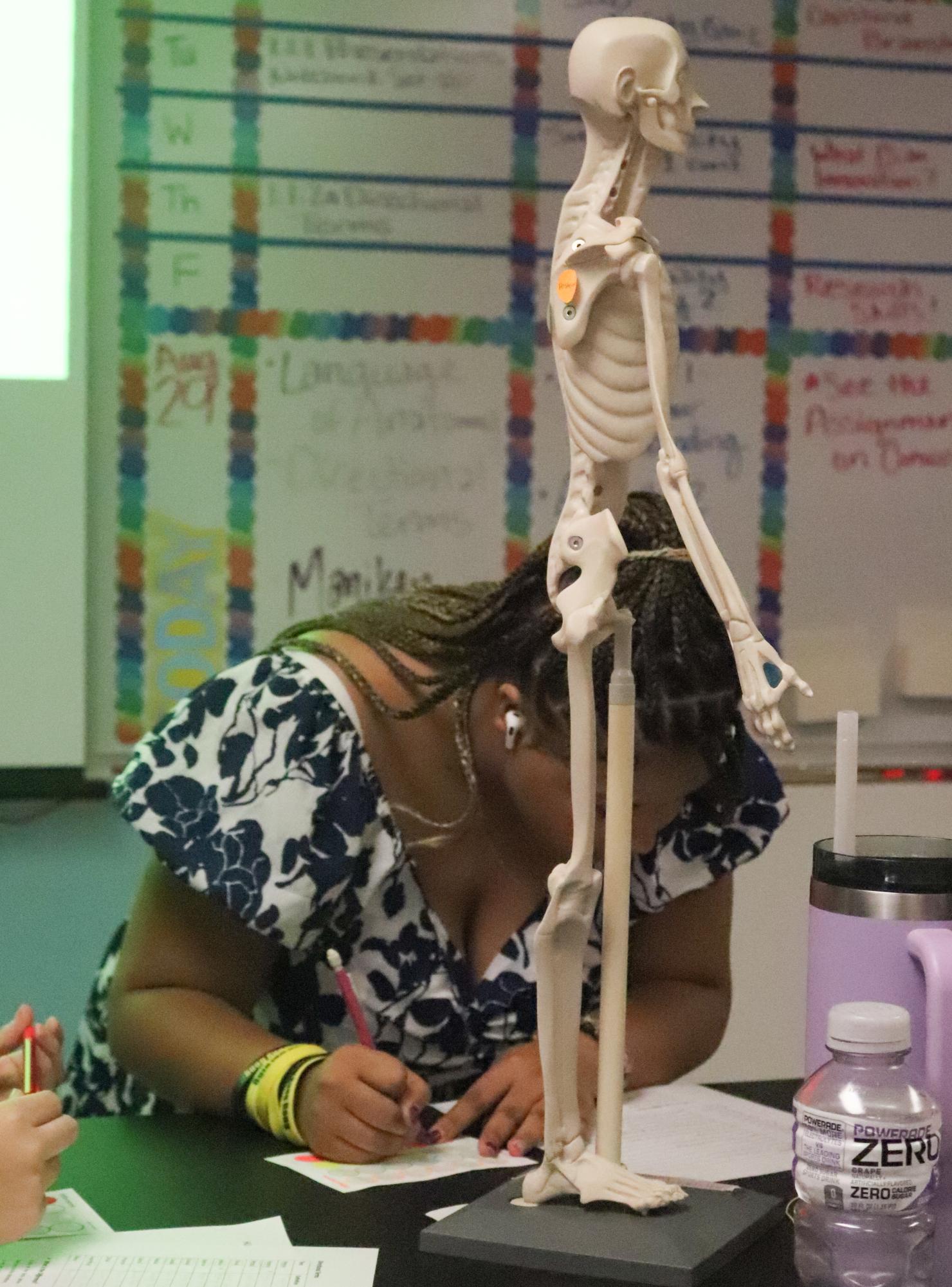 Human body systems mannequin birthday activity (Photos by Natalie Galindo)