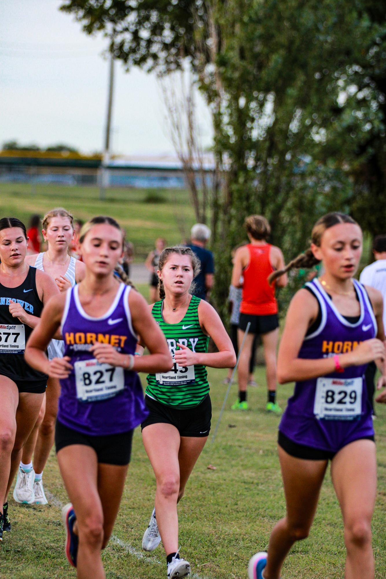 Varsity & JV Cross Country (Photos By Liberty Smith)