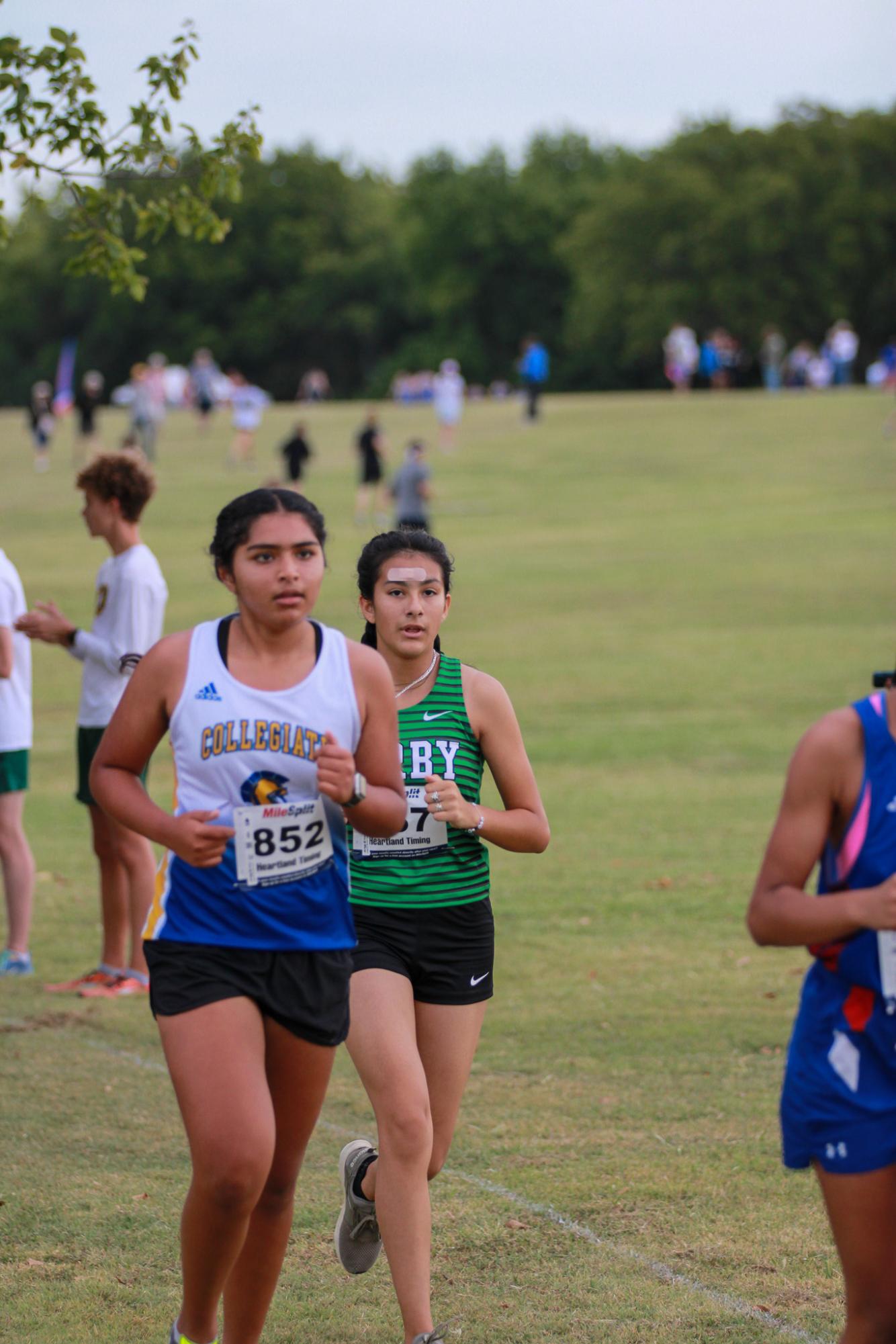 Varsity & JV Cross Country (Photos By Liberty Smith)