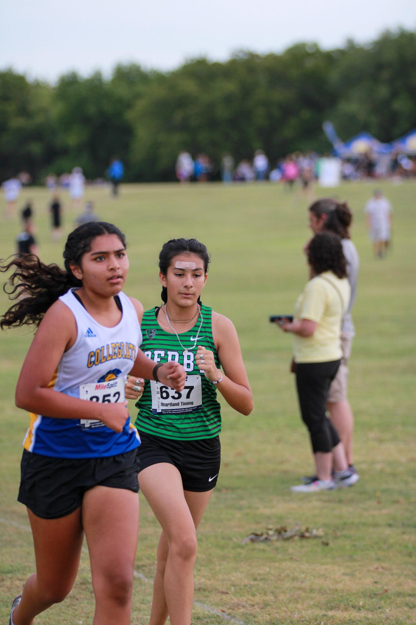 Varsity & JV Cross Country (Photos By Liberty Smith)