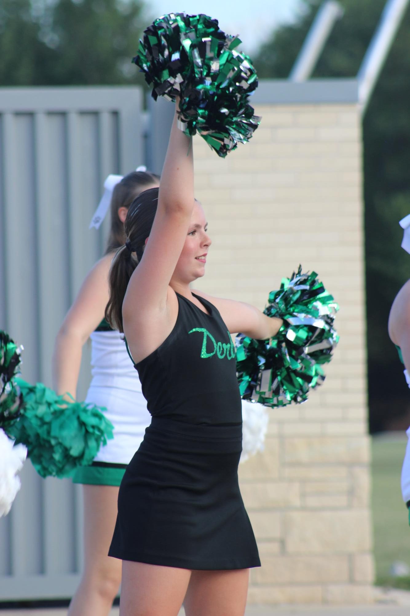 Football Tailgate (Photos by Bree Stuhlsatz)