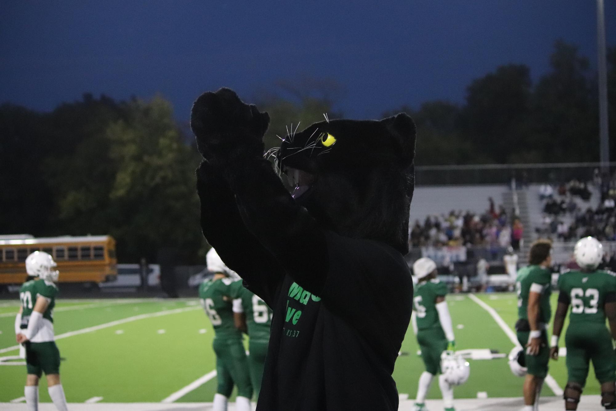 Football Vs Maize (photos by Stevie Hoppock)