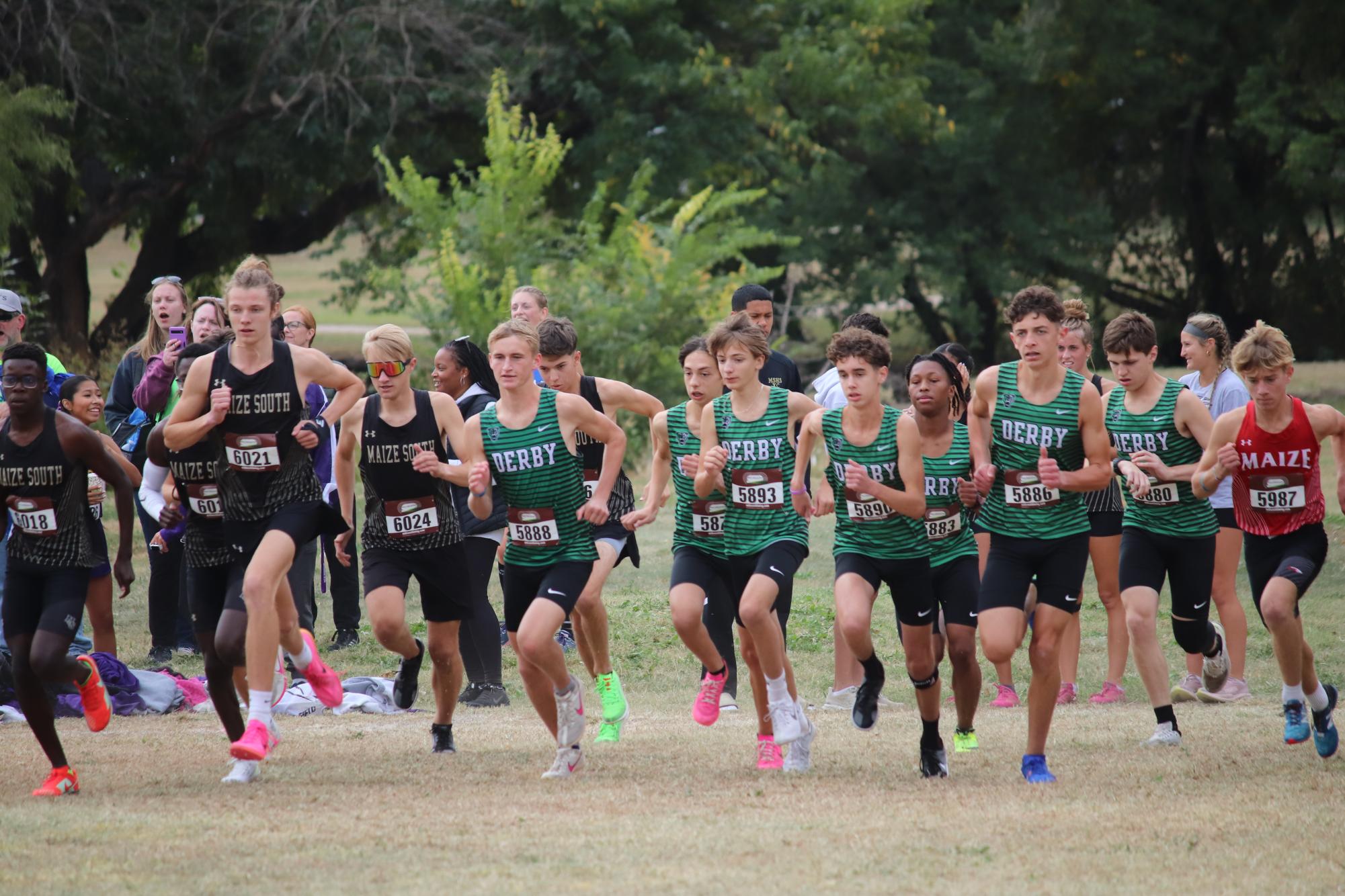 Cross country at  L.W Clapp Park (Photos by Stevie Hoppock)