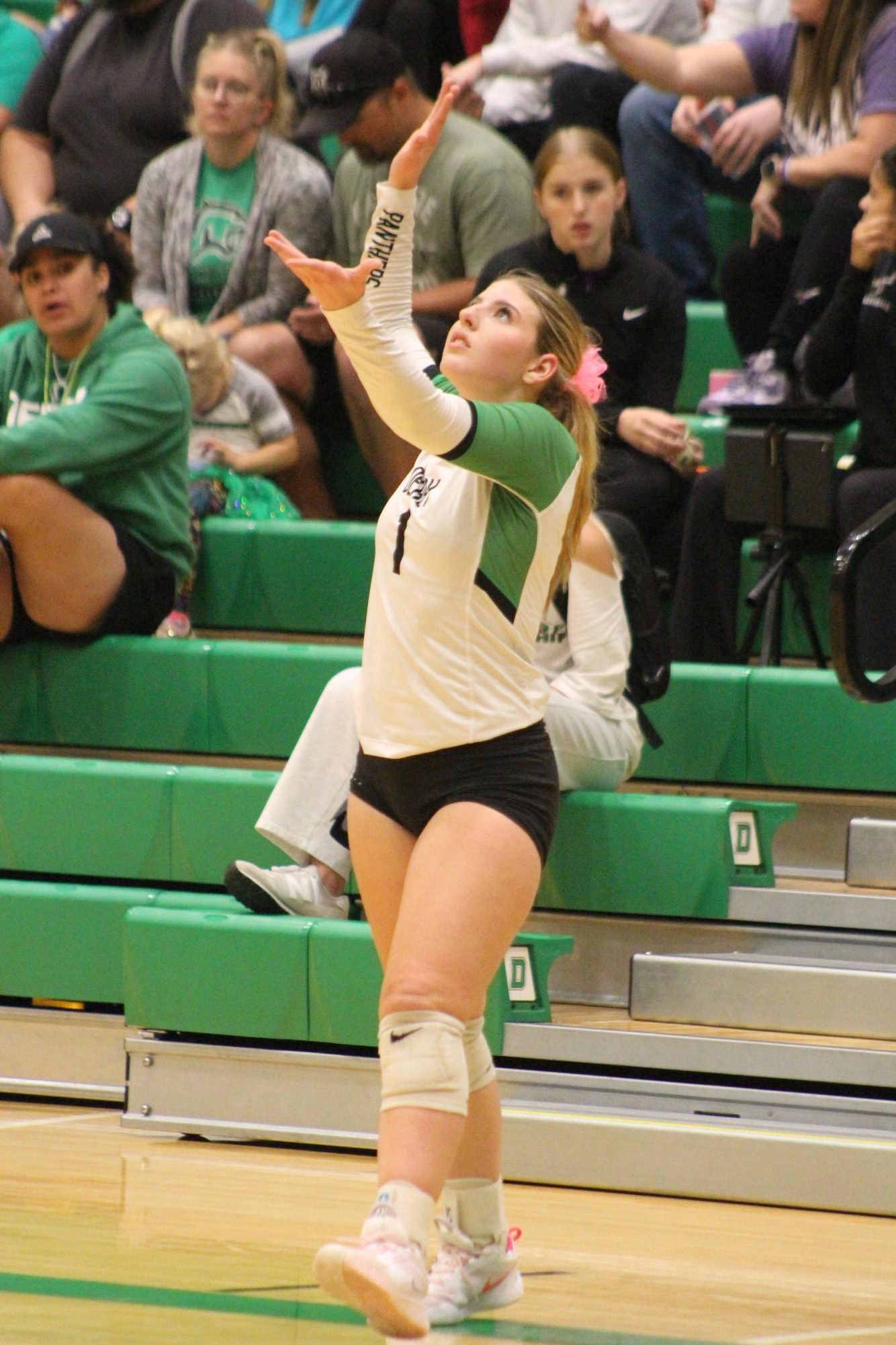 Varsity volleyball vs. Hutchinson (Photos by Bree Stuhlsatz)