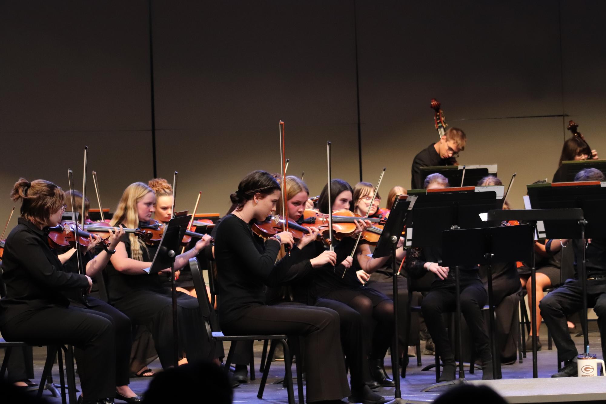 Orchestra Concert (Photos by Persephone Ivy)