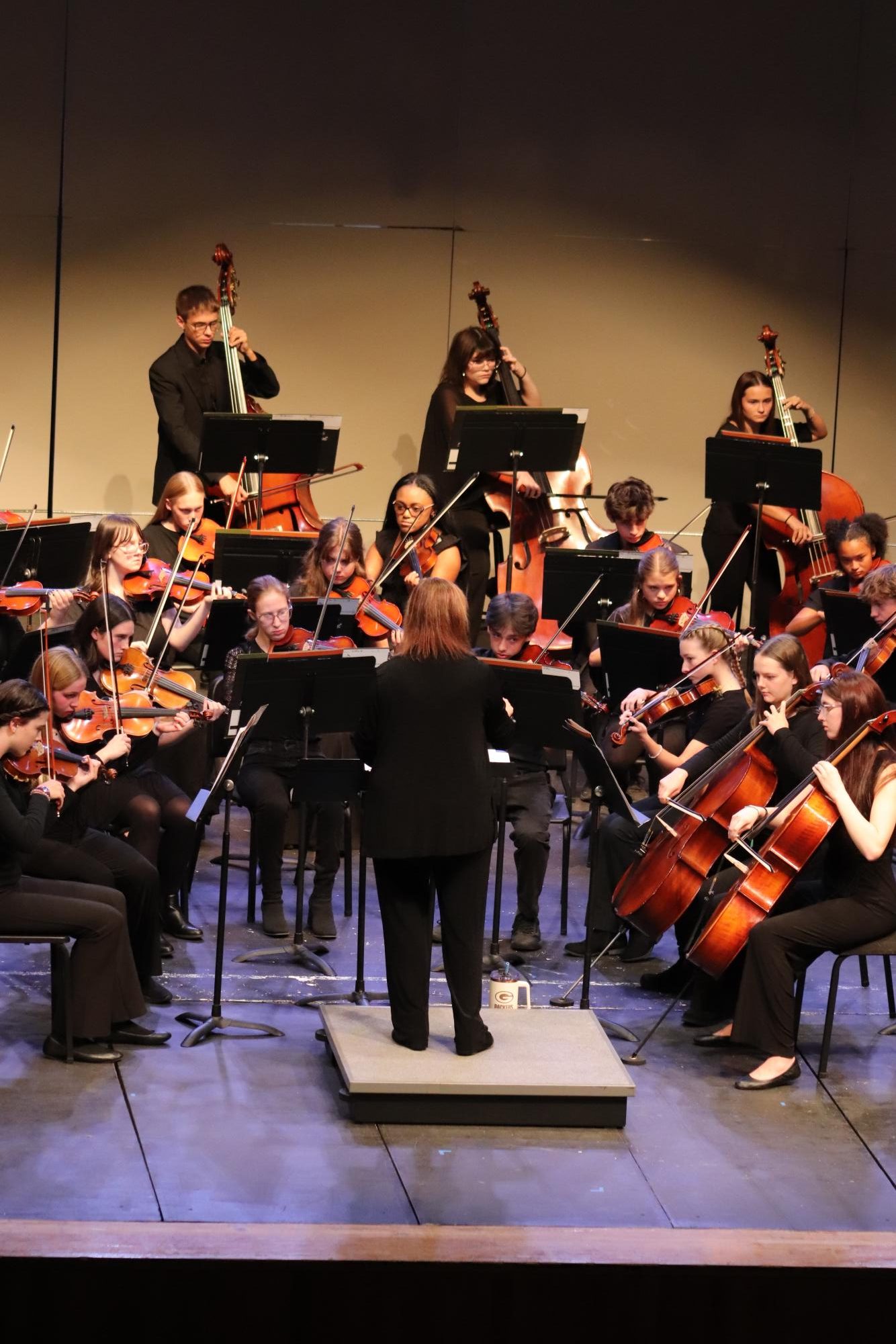 Orchestra Concert (Photos by Persephone Ivy)