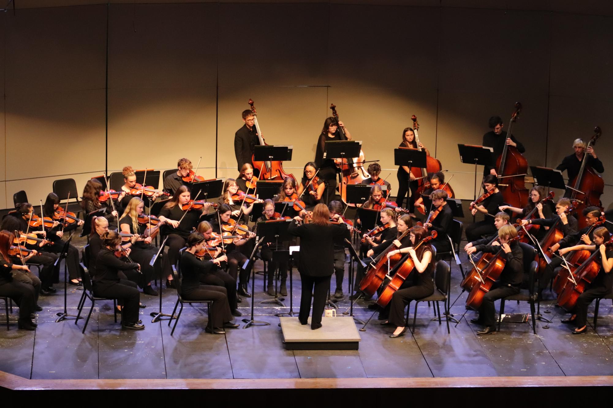 Orchestra Concert (Photos by Persephone Ivy)