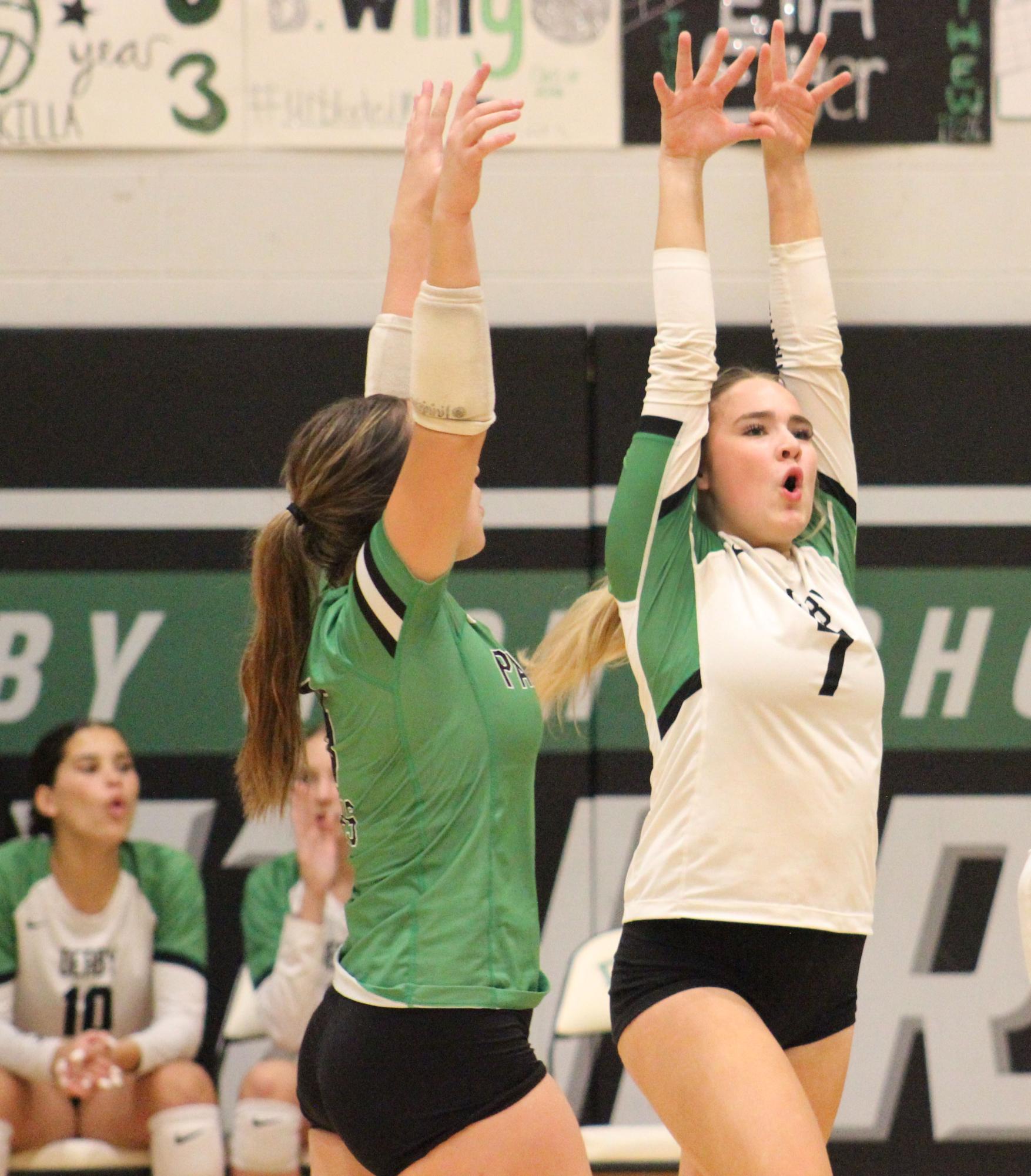 Volleyball vs. Andover Central (Photos by Bree Stuhlsatz)