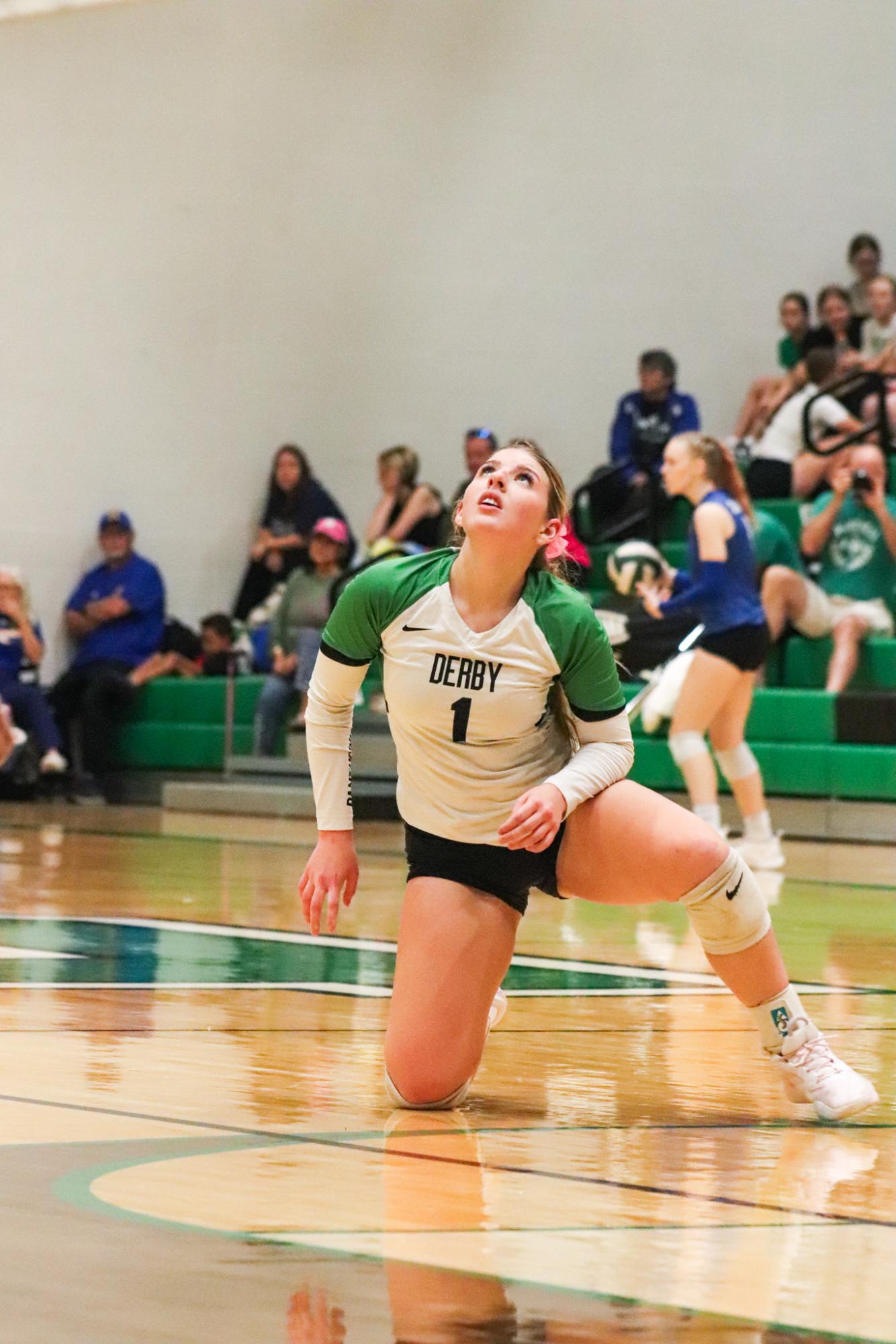 Varsity Volleyball vs. Hutchinson (Photos by Kaelyn Kissack)