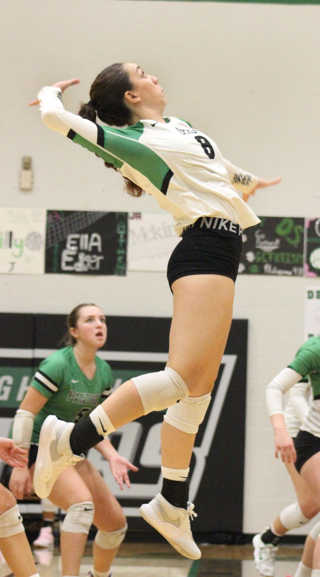 Volleyball vs. Andover Central (Photos by Bree Stuhlsatz)