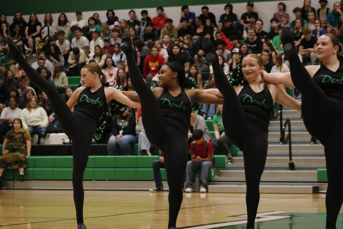 Pantherettes kick their legs in a line