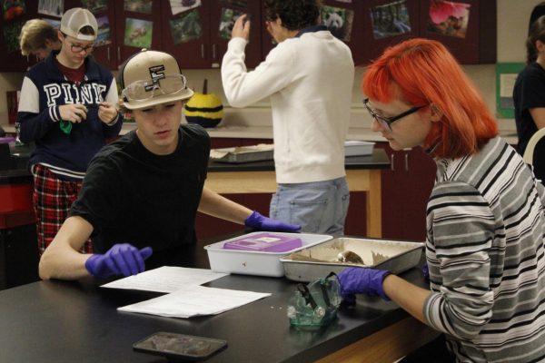 Navigation to Story: Zoology dissects clams (Photos by Alyssa Schroeder)