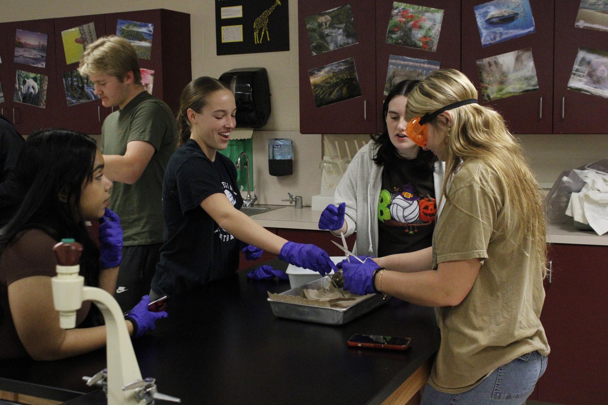 Zoology dissects clams (Photos by Alyssa Schroeder)