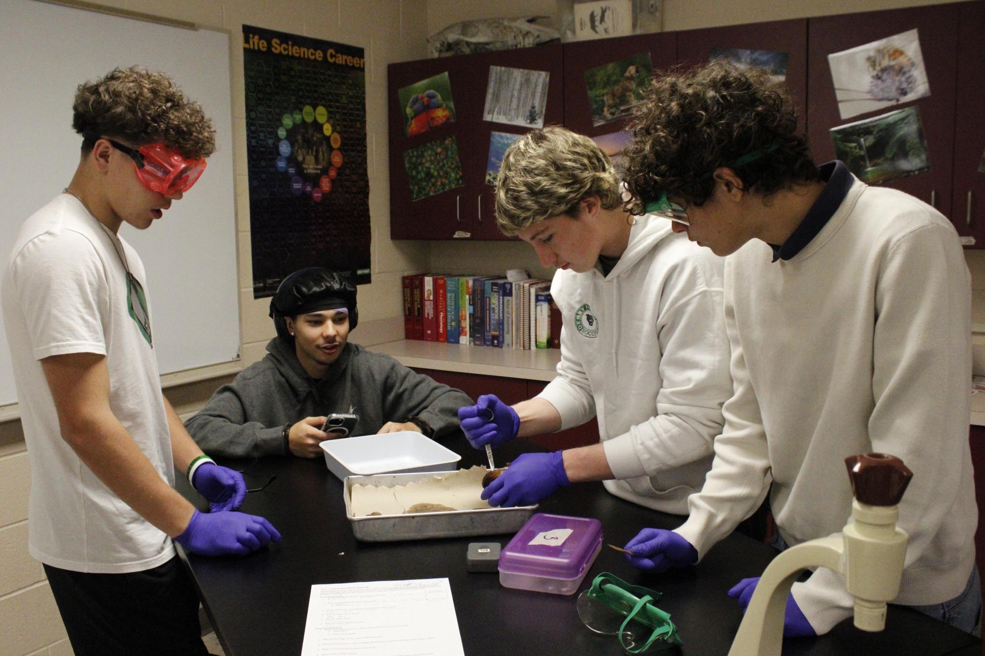 Zoology dissects clams (Photos by Alyssa Schroeder)