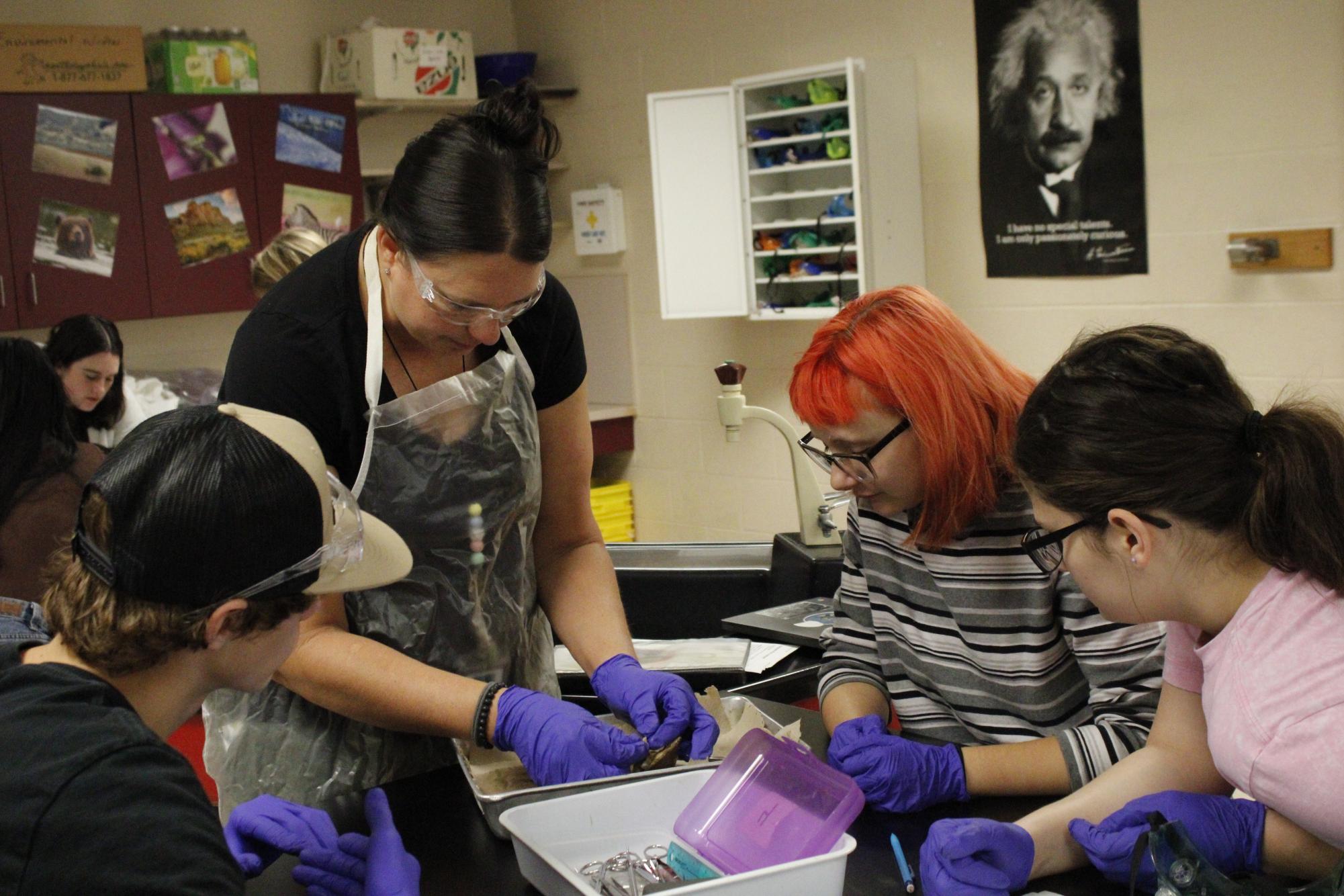 Zoology dissects clams (Photos by Alyssa Schroeder)