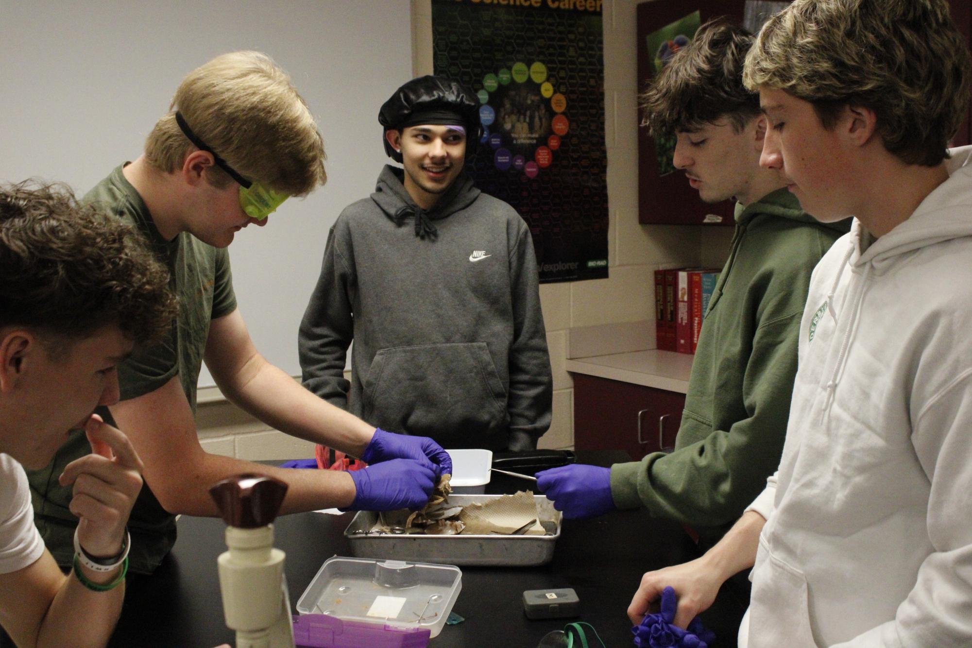 Zoology dissects clams (Photos by Alyssa Schroeder)