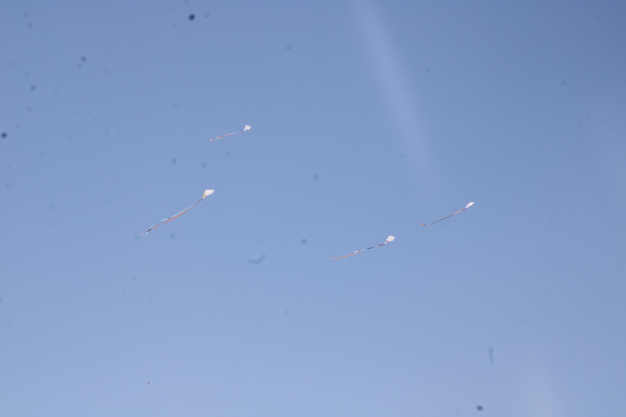 AFJROTC Kite Flying (Photos by Kaelyn Kissack)