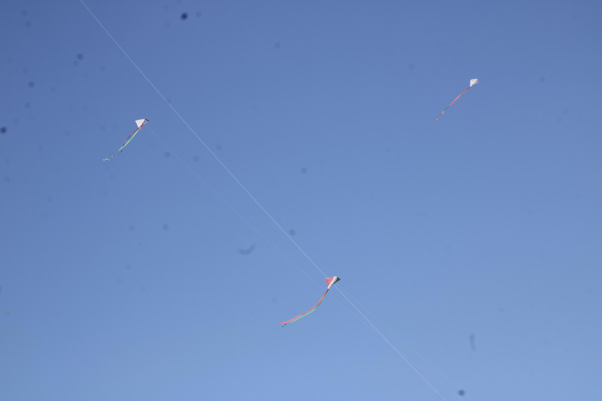 AFJROTC Kite Flying (Photos by Kaelyn Kissack)