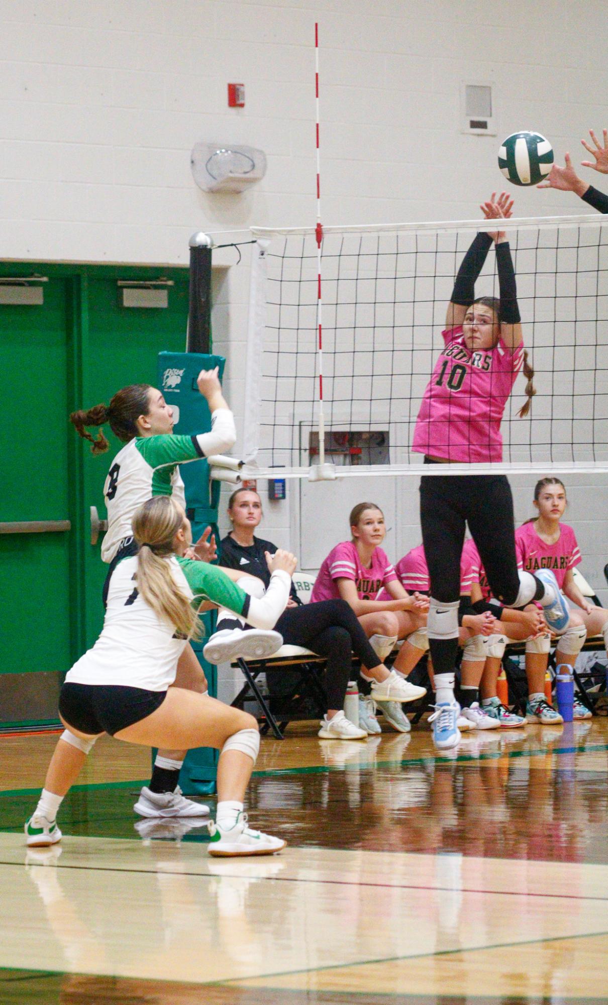 Girls Varsity Volleyball (Photos by Delainey Stephenson)