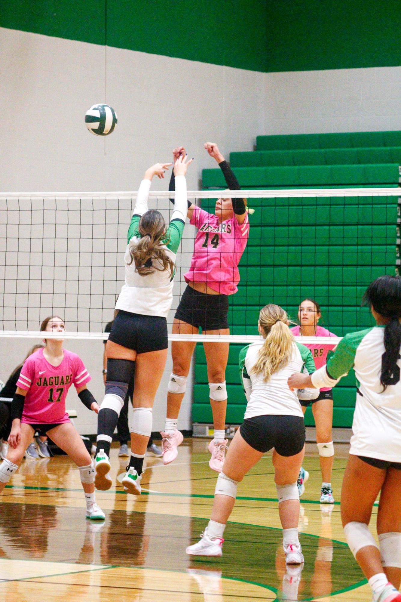 Girls Varsity Volleyball (Photos by Delainey Stephenson)