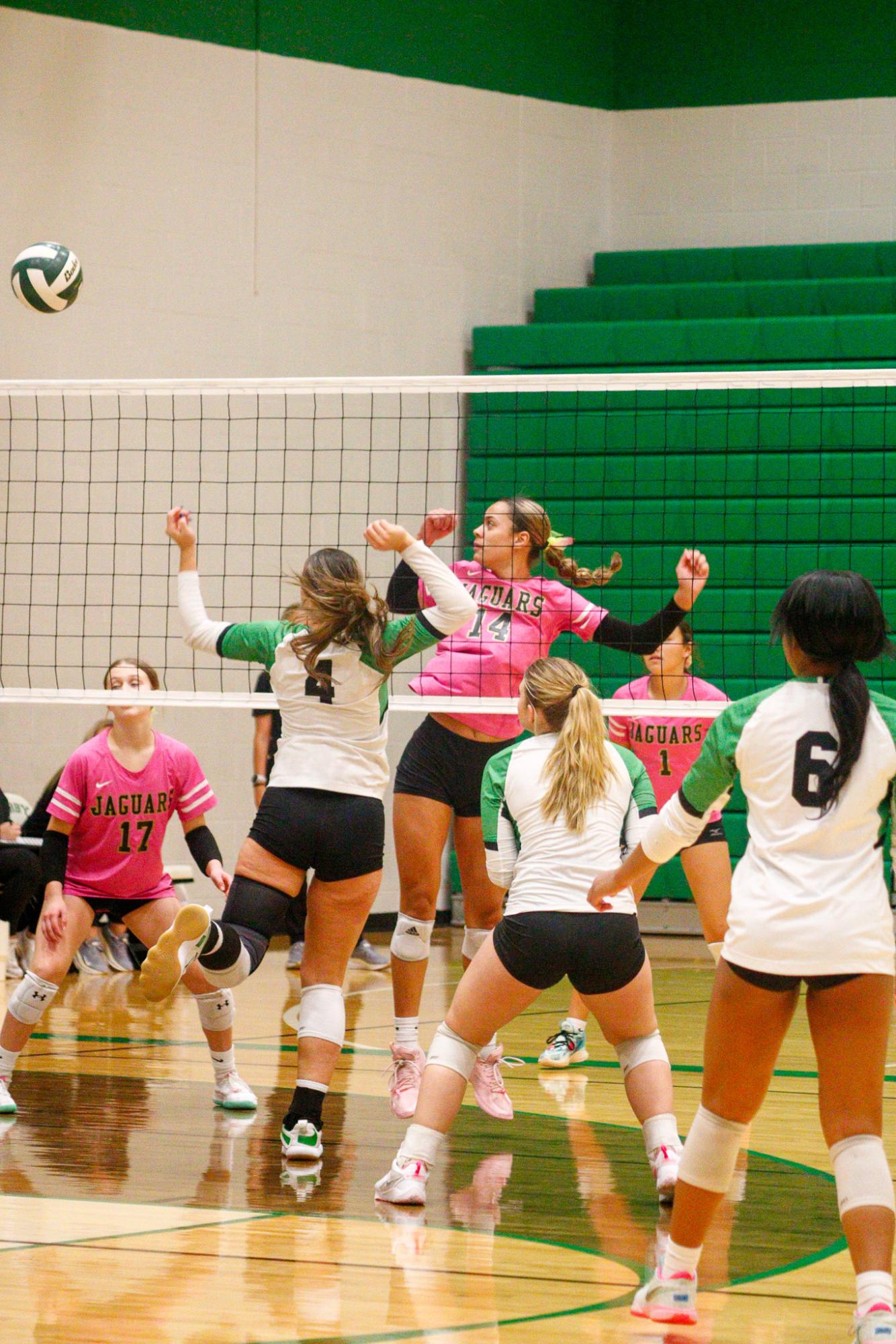 Girls Varsity Volleyball (Photos by Delainey Stephenson)