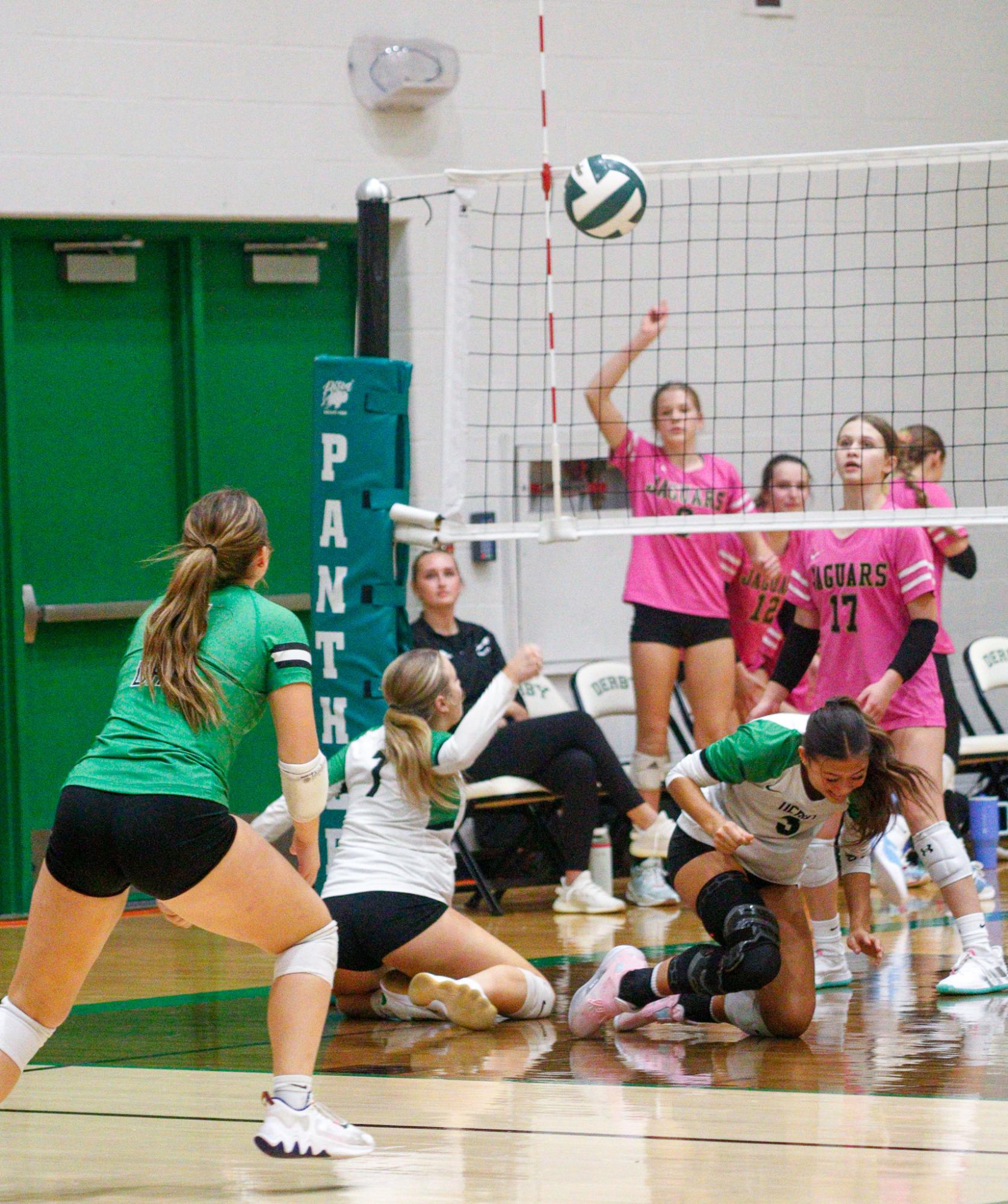 Girls Varsity Volleyball (Photos by Delainey Stephenson)